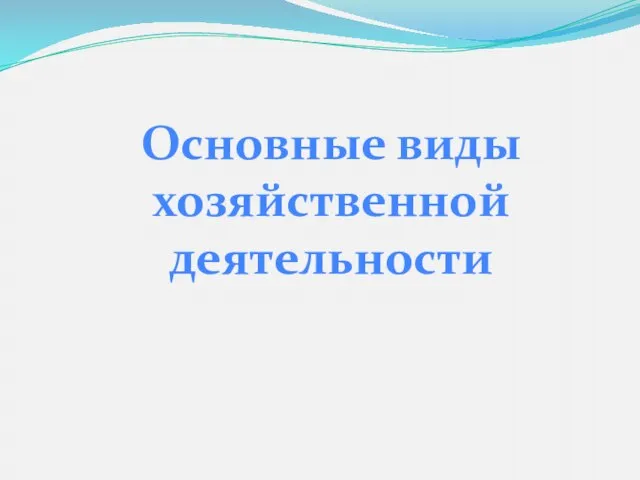 Основные виды хозяйственной деятельности