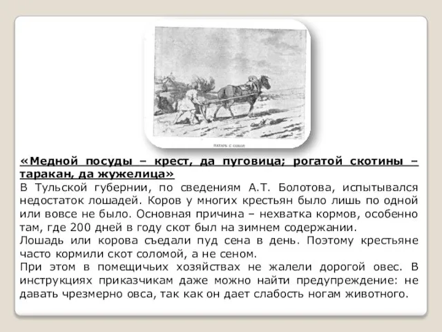 «Медной посуды – крест, да пуговица; рогатой скотины – таракан, да жужелица»