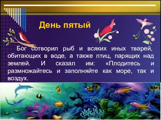 День пятый Бог сотворил рыб и всяких иных тварей, обитающих в воде,