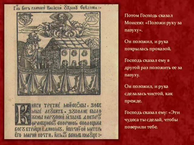 Потом Господь сказал Моисею: «Положи руку за пазуху». Он положил, и рука