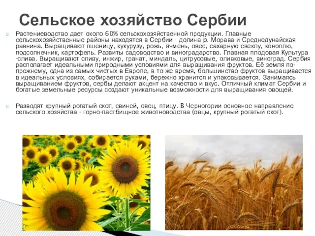 Растениеводство дает около 60% сельскохозяйственной продукции. Главные сельскохозяйственные районы находятся в Сербии