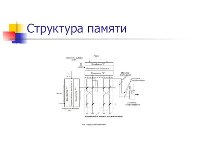 Структура памяти