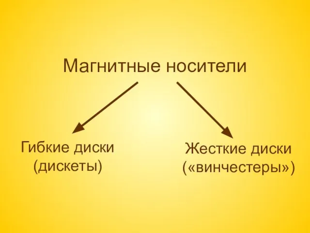 Магнитные носители Гибкие диски (дискеты) Жесткие диски («винчестеры»)