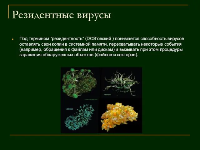 Резидентные вирусы Под термином "резидентность" (DOS'овский ) понимается способность вирусов оставлять свои