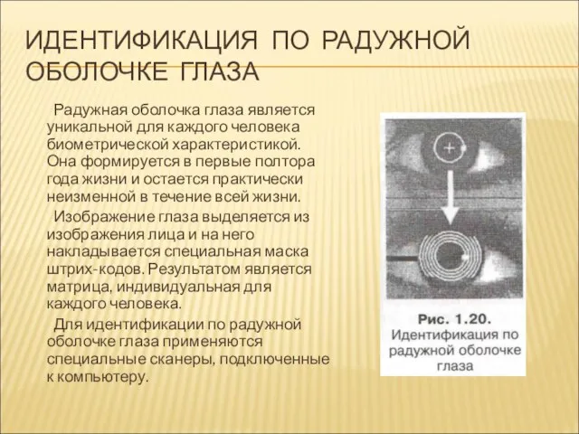 ИДЕНТИФИКАЦИЯ ПО РАДУЖНОЙ ОБОЛОЧКЕ ГЛАЗА Радужная оболочка глаза является уникальной для каждого