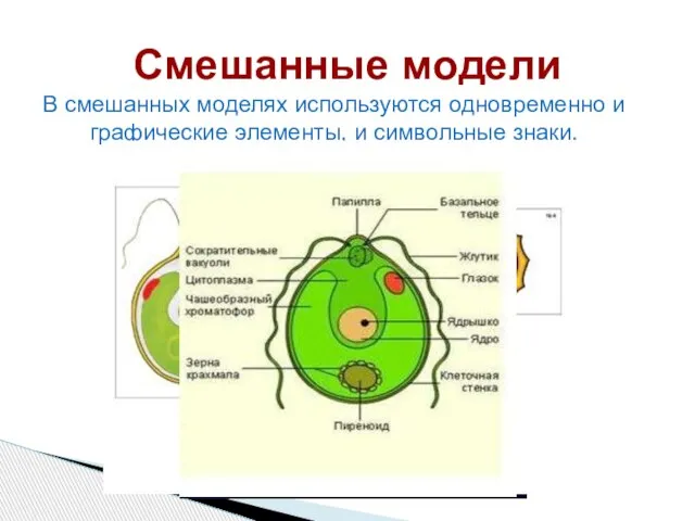 Смешанные модели В смешанных моделях используются одновременно и графические элементы, и символьные знаки.