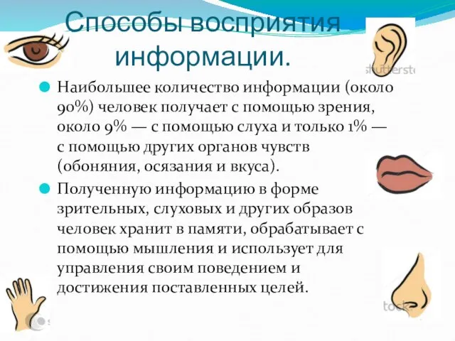 Способы восприятия информации. Наибольшее количество информации (около 90%) человек получает с помощью