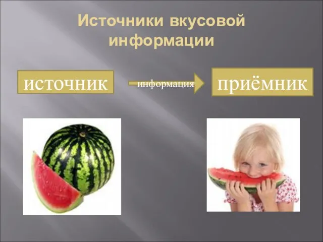 Источники вкусовой информации источник приёмник информация