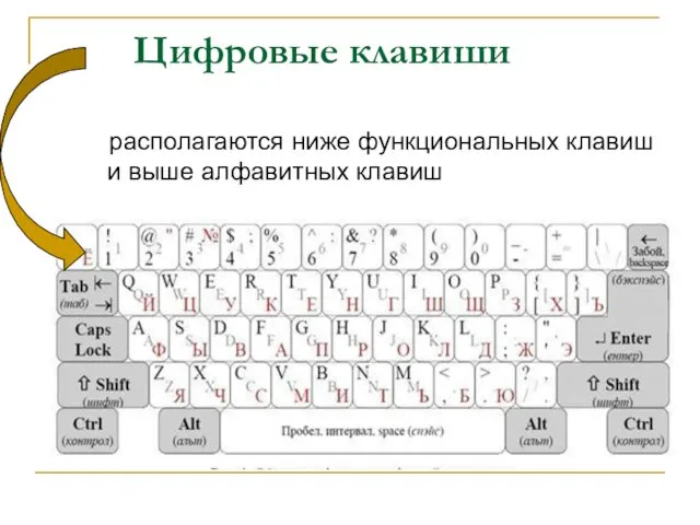Цифровые клавиши располагаются ниже функциональных клавиш и выше алфавитных клавиш