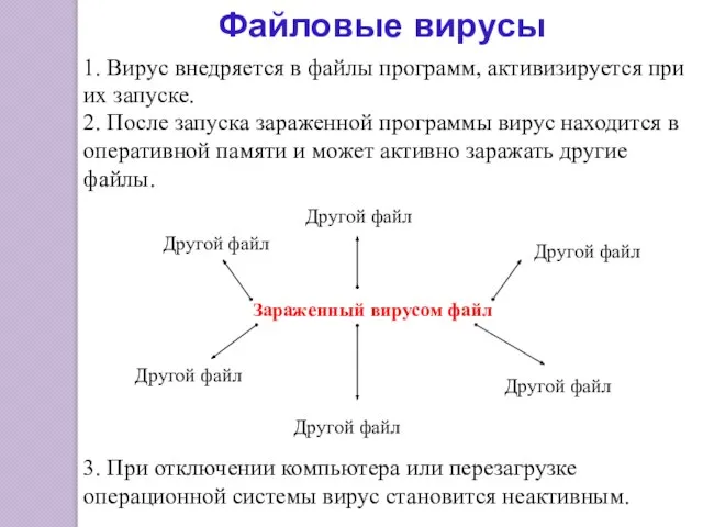 2. После запуска зараженной программы вирус находится в оперативной памяти и может