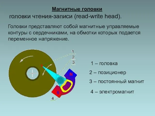 Магнитные головки головки чтения-записи (read-write head). Головки представляют собой магнитные управляемые контуры