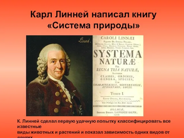 Карл Линней написал книгу «Система природы» К. Линней сделал первую удачную попытку