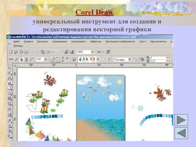 Corel Draw универсальный инструмент для создания и редактирования векторной графики