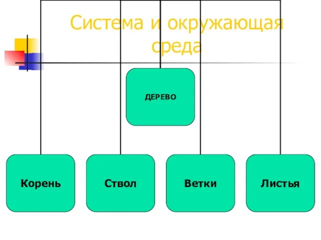 Система и окружающая среда