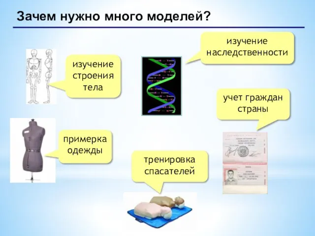 Зачем нужно много моделей? изучение строения тела примерка одежды изучение наследственности тренировка спасателей учет граждан страны