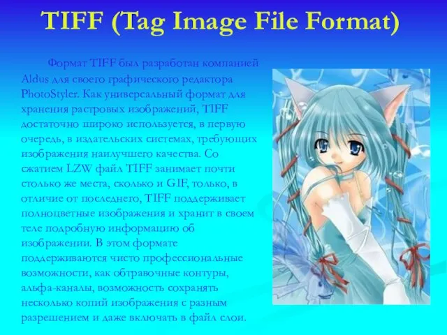 TIFF (Tag Image File Format) Формат TIFF был разработан компанией Aldus для