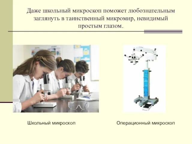 Даже школьный микроскоп поможет любознательным заглянуть в таинственный микромир, невидимый простым глазом. Операционный микроскоп Школьный микроскоп