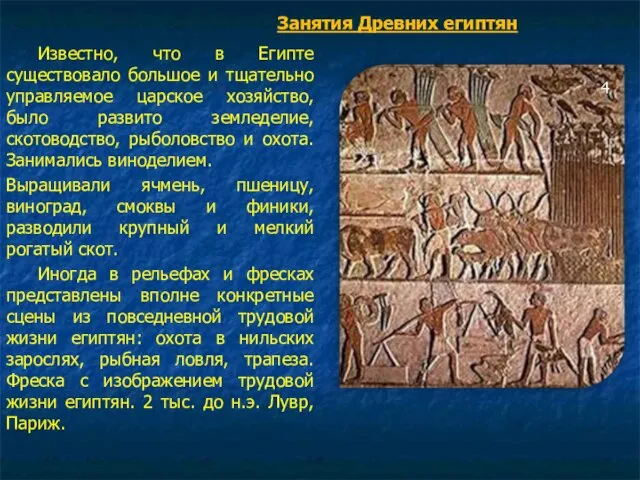 Известно, что в Египте существовало большое и тщательно управляемое царское хозяйство, было