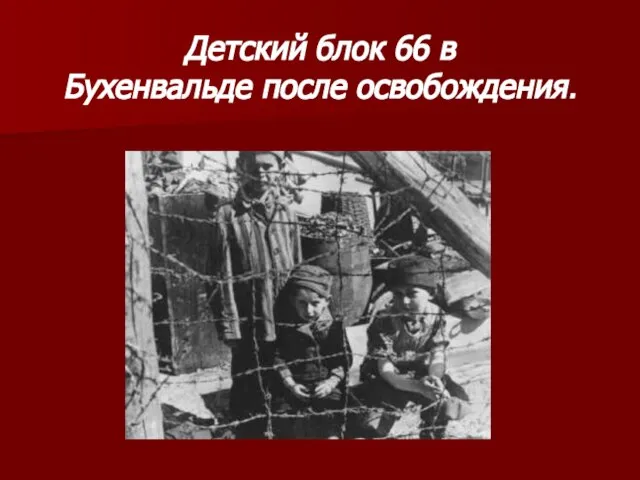 Детский блок 66 в Бухенвальде после освобождения.