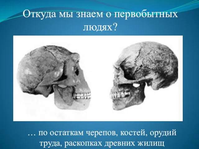Откуда мы знаем о первобытных людях? … по остаткам черепов, костей, орудий труда, раскопках древних жилищ