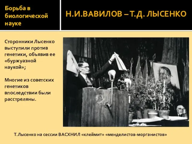 Борьба в биологической науке Сторонники Лысенко выступили против генетики, объявив ее «буржуазной