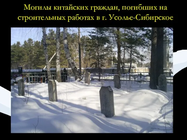 Могилы китайских граждан, погибших на строительных работах в г. Усолье-Сибирское