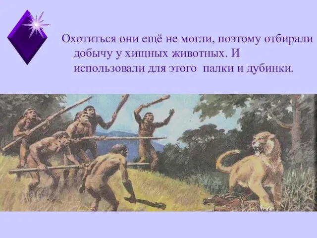 Медина Мекка Охотиться они ещё не могли, поэтому отбирали добычу у хищных