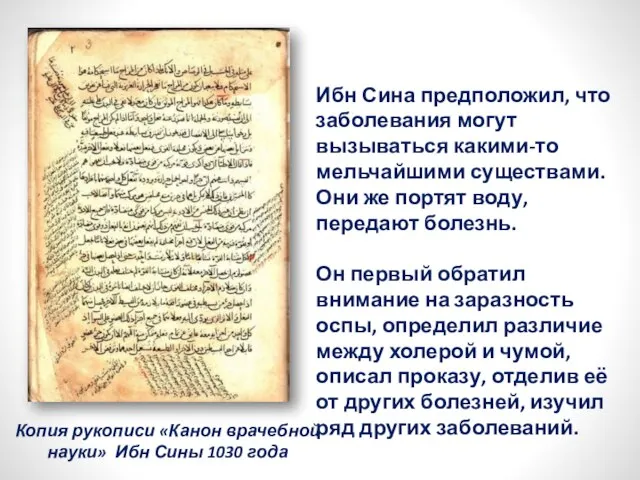 Копия рукописи «Канон врачебной науки» Ибн Сины 1030 года Ибн Сина предположил,