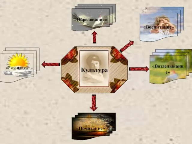 Культура «Возделывание» «Воспитание» «Образование» «Развитие» «Почитание»