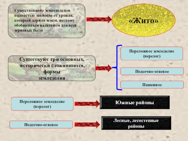 «Жито» Существование земледельцев полностью зависело от урожая, который дарила земля, поэтому обобщенным