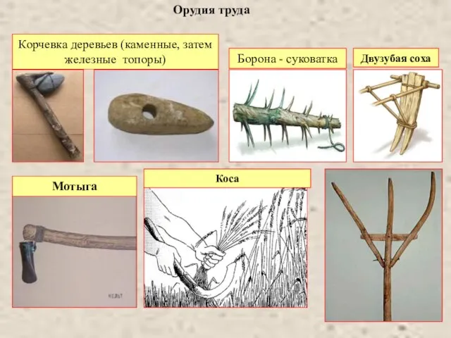 Орудия труда Корчевка деревьев (каменные, затем железные топоры) Мотыга Борона - суковатка Двузубая соха Коса