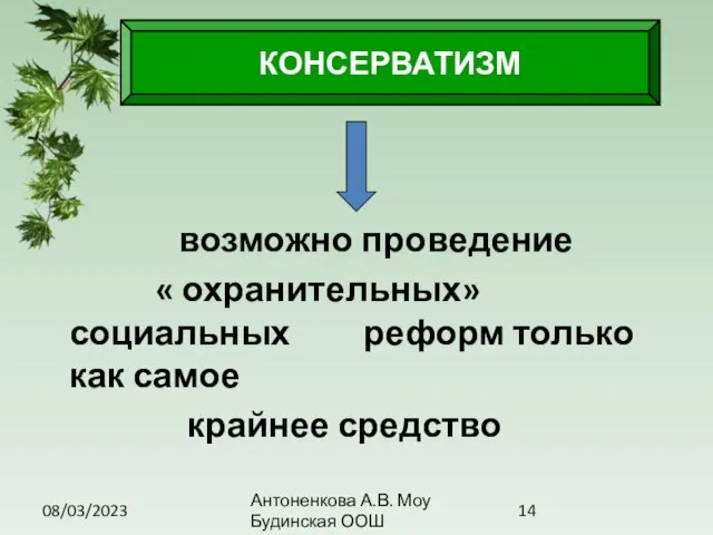 08/03/2023 Антоненкова А.В. Моу Будинская ООШ возможно проведение « охранительных» социальных реформ