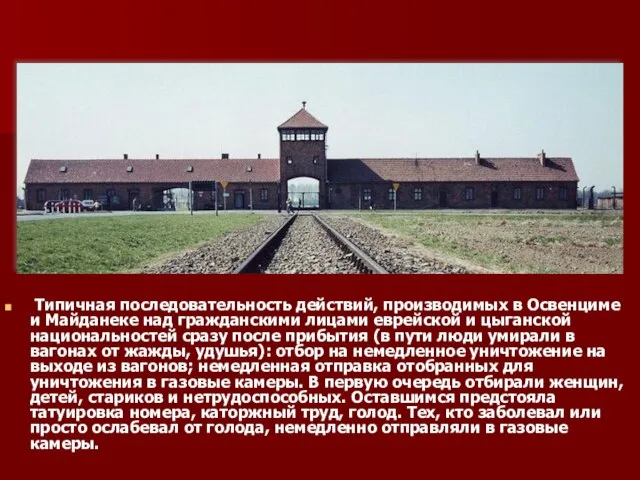 Типичная последовательность действий, производимых в Освенциме и Майданеке над гражданскими лицами еврейской