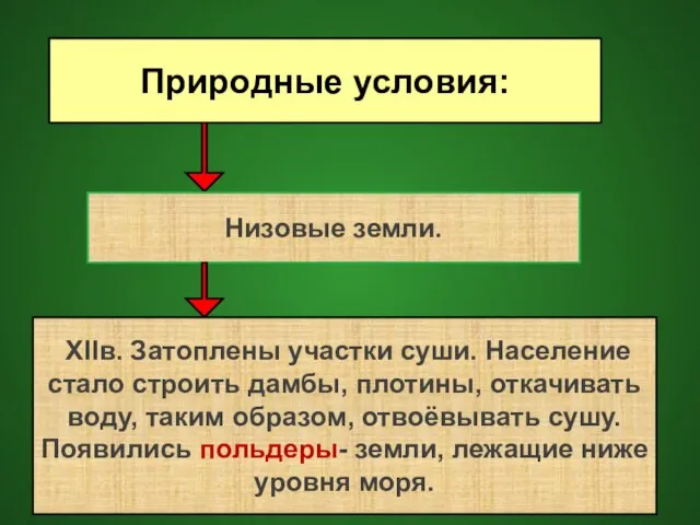 Природные условия: Низовые земли. XIIв. Затоплены участки суши. Население стало строить дамбы,