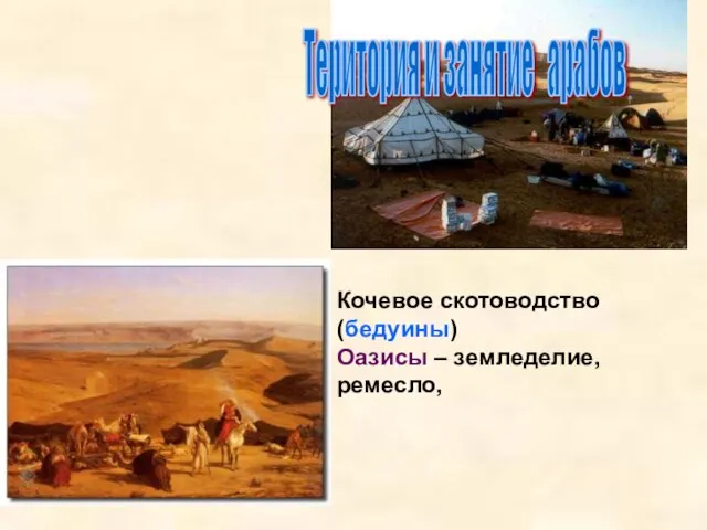 Територия и занятие арабов Кочевое скотоводство (бедуины) Оазисы – земледелие, ремесло,