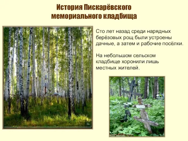 История Пискарёвского мемориального кладбища Сто лет назад среди нарядных берёзовых рощ были