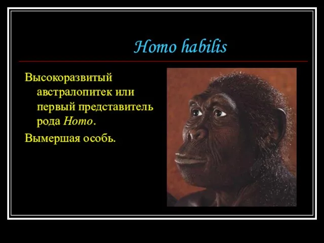 Homo habilis Высокоразвитый австралопитек или первый представитель рода Homo. Вымершая особь.