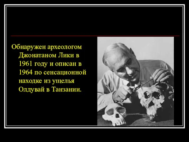 Обнаружен археологом Джонатаном Лики в 1961 году и описан в 1964 по