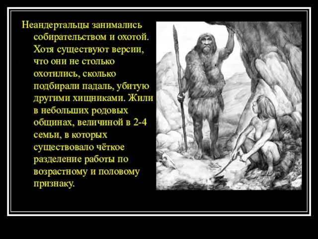 Неандертальцы занимались собирательством и охотой. Хотя существуют версии, что они не столько