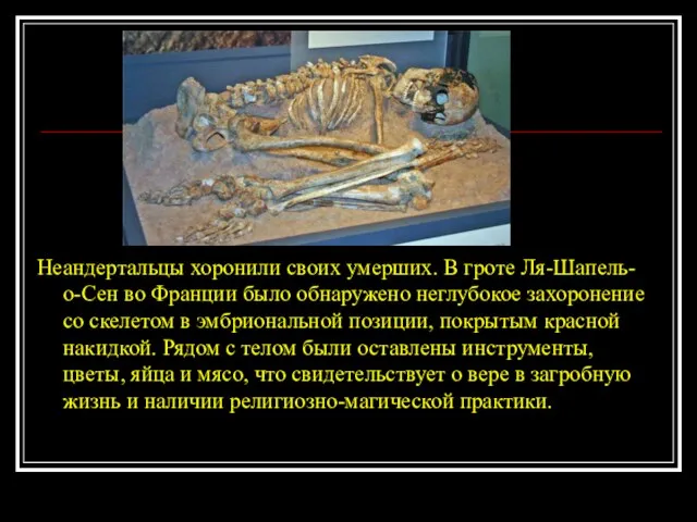 Неандертальцы хоронили своих умерших. В гроте Ля-Шапель-о-Сен во Франции было обнаружено неглубокое