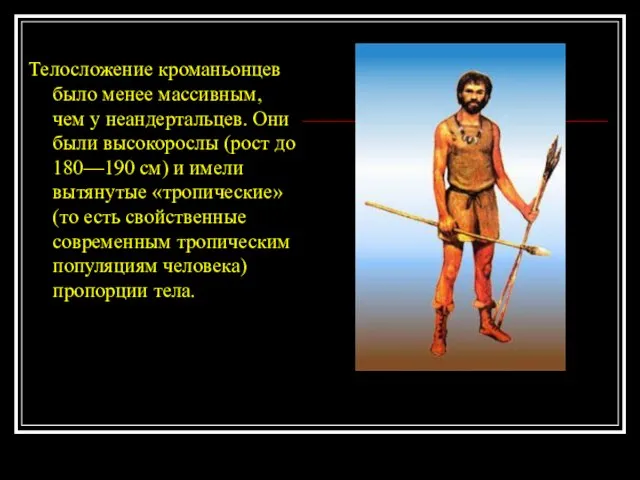 Телосложение кроманьонцев было менее массивным, чем у неандертальцев. Они были высокорослы (рост