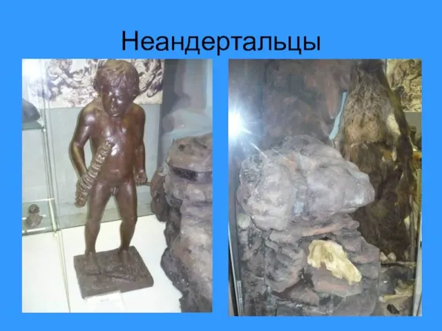 Неандертальцы