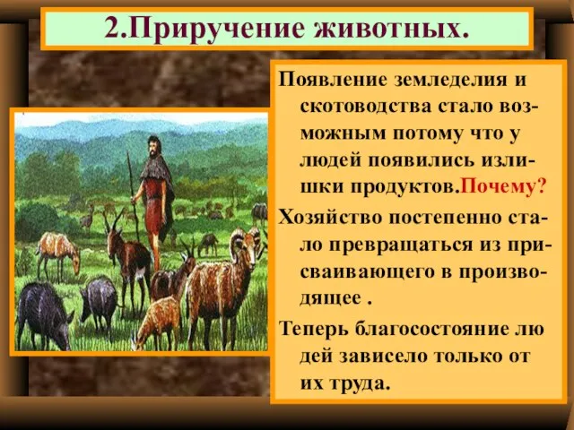 2.Приручение животных. В это же время появилось скотоводство. Мужчины возвращаясь с охоты
