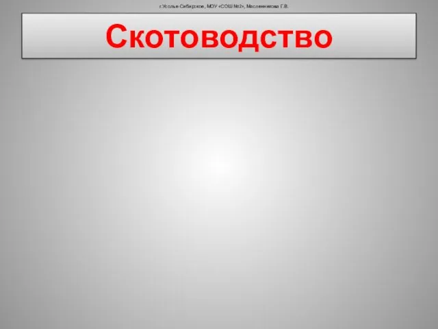 Скотоводство г.Усолье-Сибирское, МОУ «СОШ №2», Масленникова Г.В.