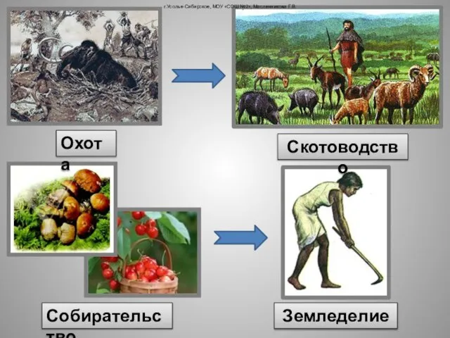 Собирательство Земледелие Охота Скотоводство г.Усолье-Сибирское, МОУ «СОШ №2», Масленникова Г.В.