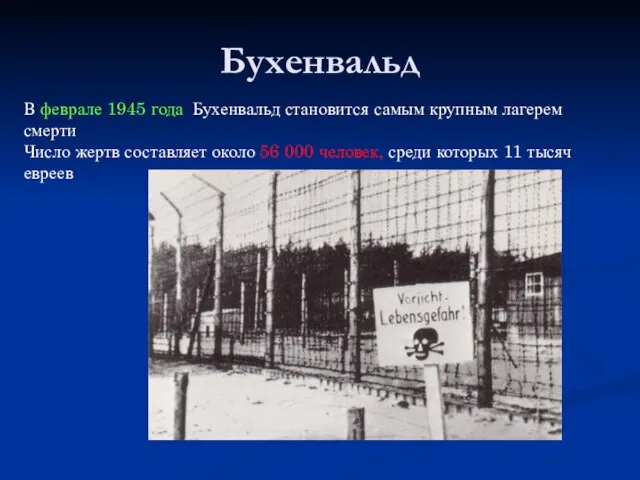 Бухенвальд В феврале 1945 года Бухенвальд становится самым крупным лагерем смерти Число