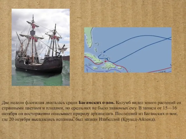 Две недели флотилия двигалась среди Багамских о-вов. Колумб видел много растений со