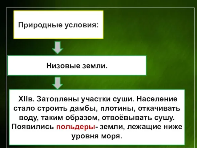 Природные условия: Низовые земли. XIIв. Затоплены участки суши. Население стало строить дамбы,