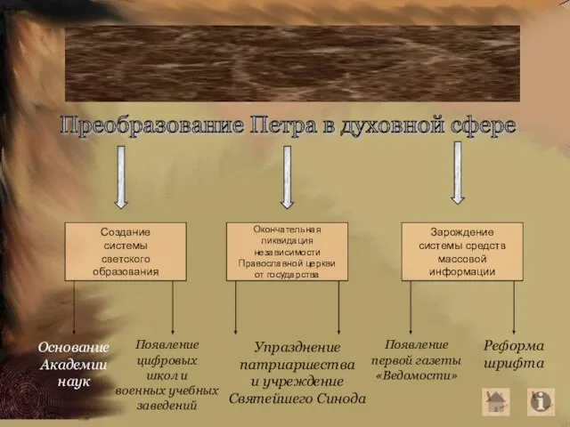 Реформа образования и культуры Преобразование Петра в духовной сфере Создание системы светского