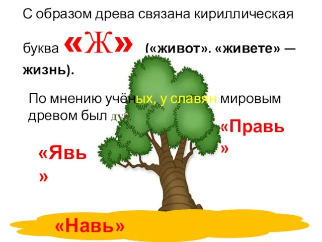 С образом древа связана кириллическая буква «Ж» («живот», «живете» — жизнь). «Правь»